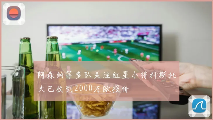 阿森纳等多队关注红星小将科斯托夫已收到2000万欧报价